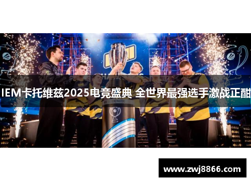 IEM卡托维兹2025电竞盛典 全世界最强选手激战正酣