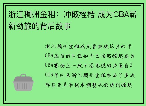 浙江稠州金租：冲破桎梏 成为CBA崭新劲旅的背后故事